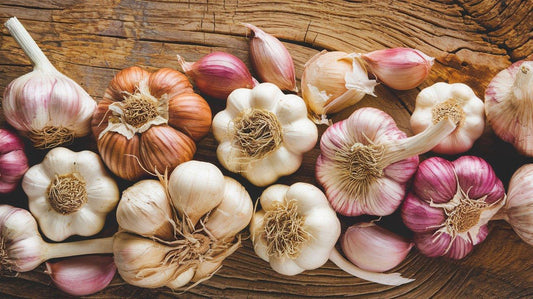 11 Best Garlic Varieties in the world: A Flavorful Journey - Shop Ease