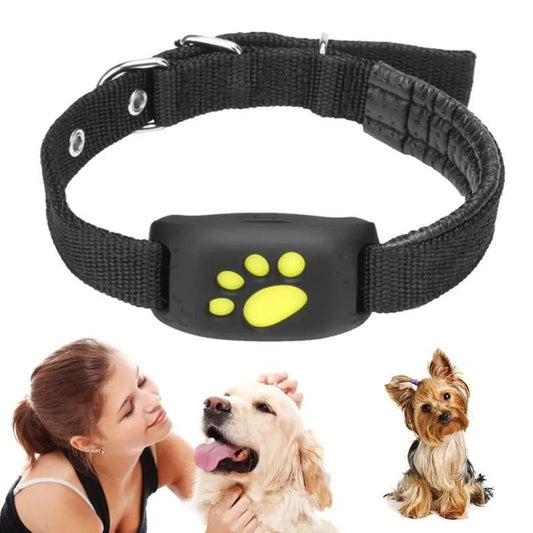 Pet GPS Tracker Collar - Shop Ease